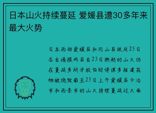 日本山火持续蔓延 爱媛县遭30多年来最大火势